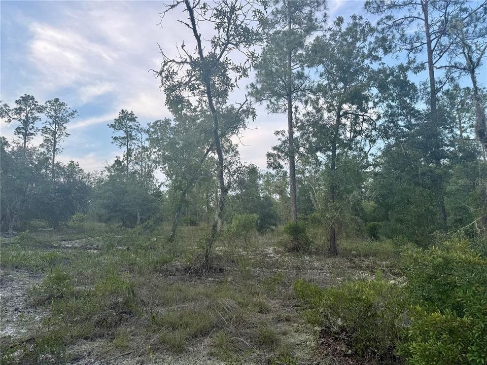 Под контрактом: $21,000 (0.99 acres)