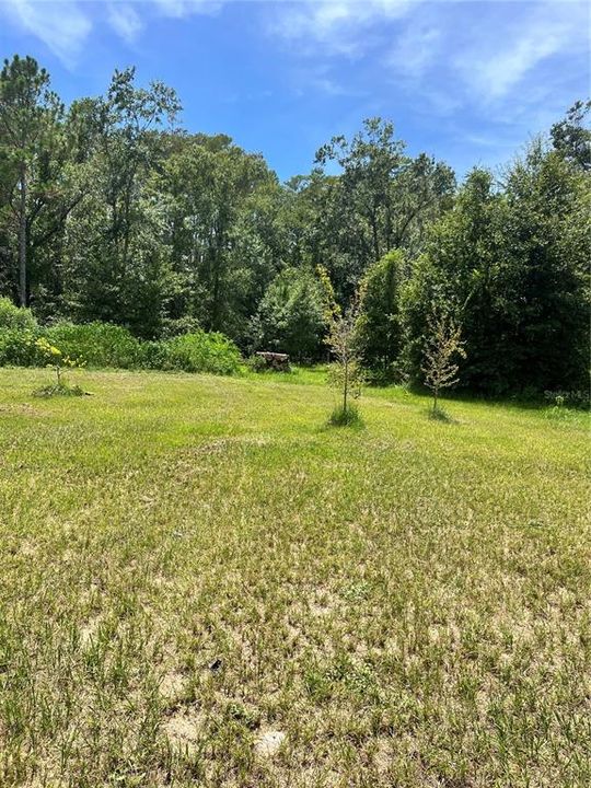 待售: $315,000 (3 贝兹, 2 浴室, 1812 平方英尺)