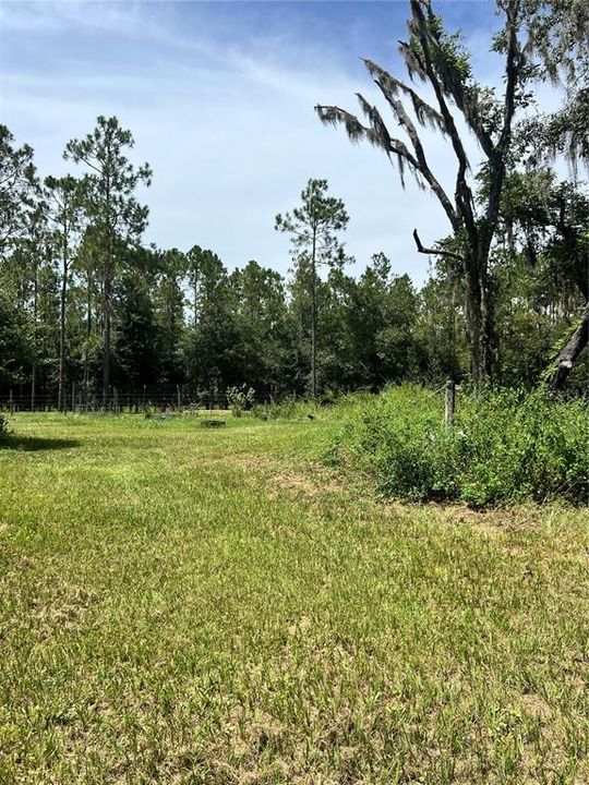 待售: $315,000 (3 贝兹, 2 浴室, 1812 平方英尺)