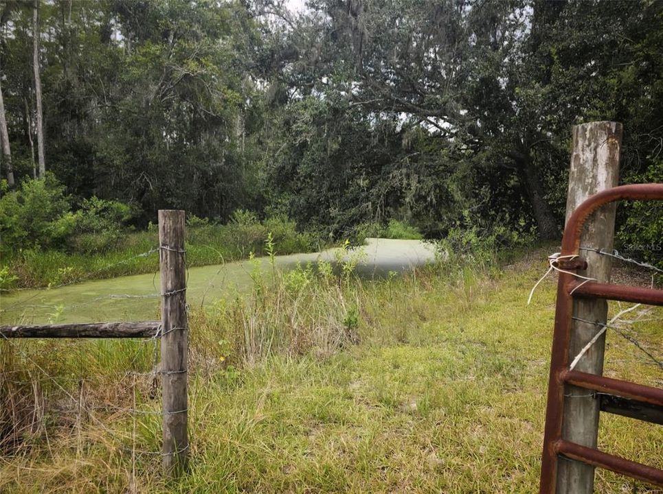 待售: $315,000 (3 贝兹, 2 浴室, 1812 平方英尺)