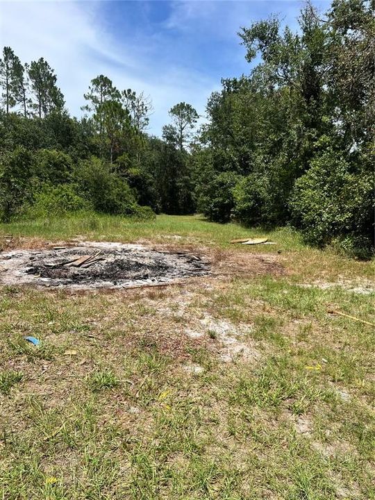 待售: $315,000 (3 贝兹, 2 浴室, 1812 平方英尺)