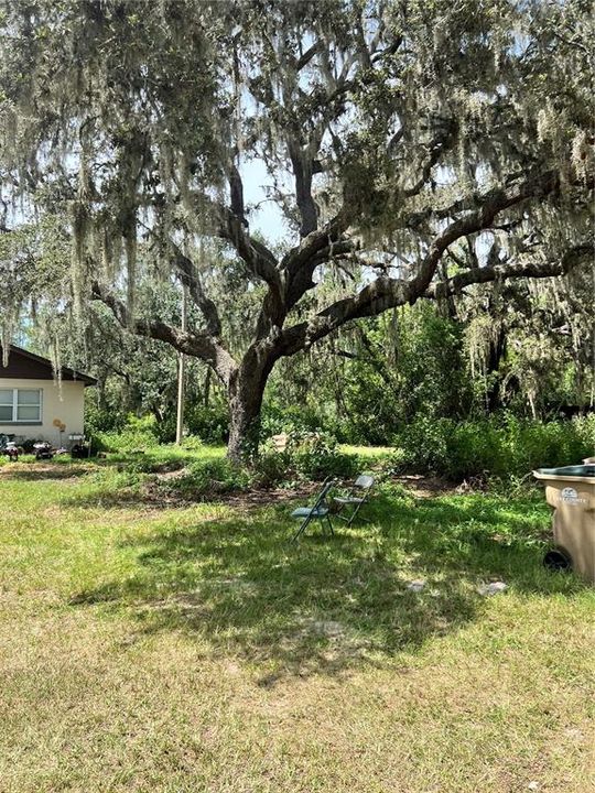 待售: $315,000 (3 贝兹, 2 浴室, 1812 平方英尺)