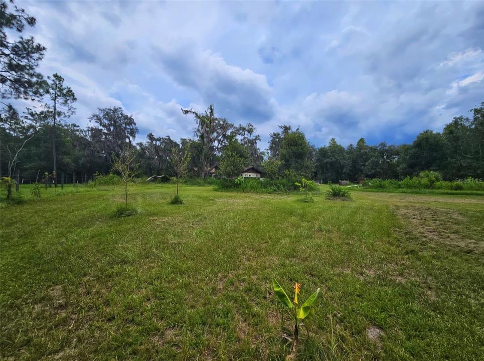 待售: $315,000 (3 贝兹, 2 浴室, 1812 平方英尺)