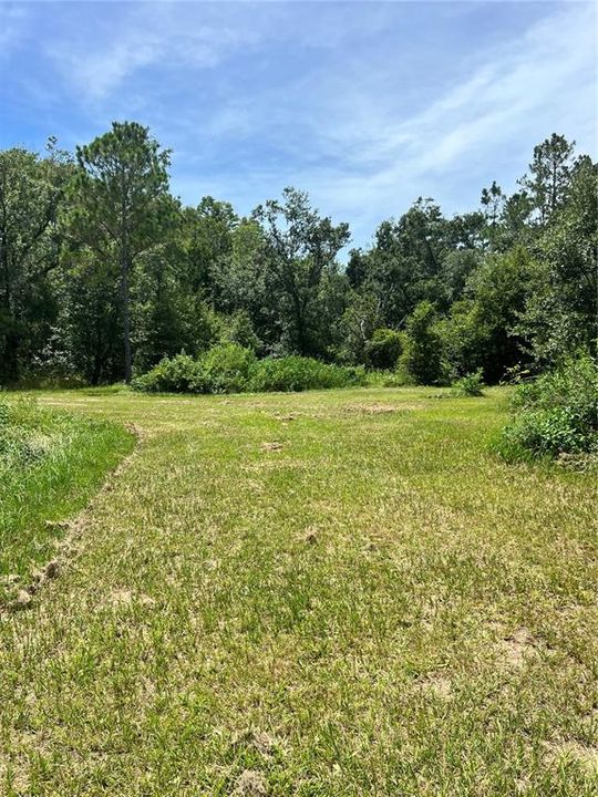 待售: $315,000 (3 贝兹, 2 浴室, 1812 平方英尺)