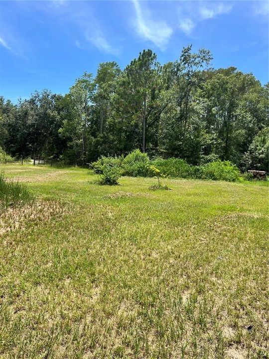 待售: $315,000 (3 贝兹, 2 浴室, 1812 平方英尺)