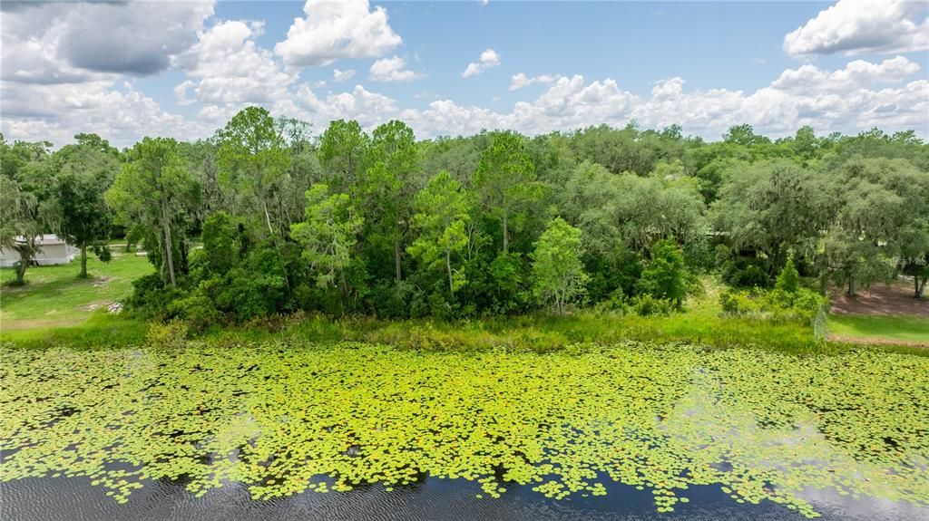 На продажу: $27,500 (0.24 acres)