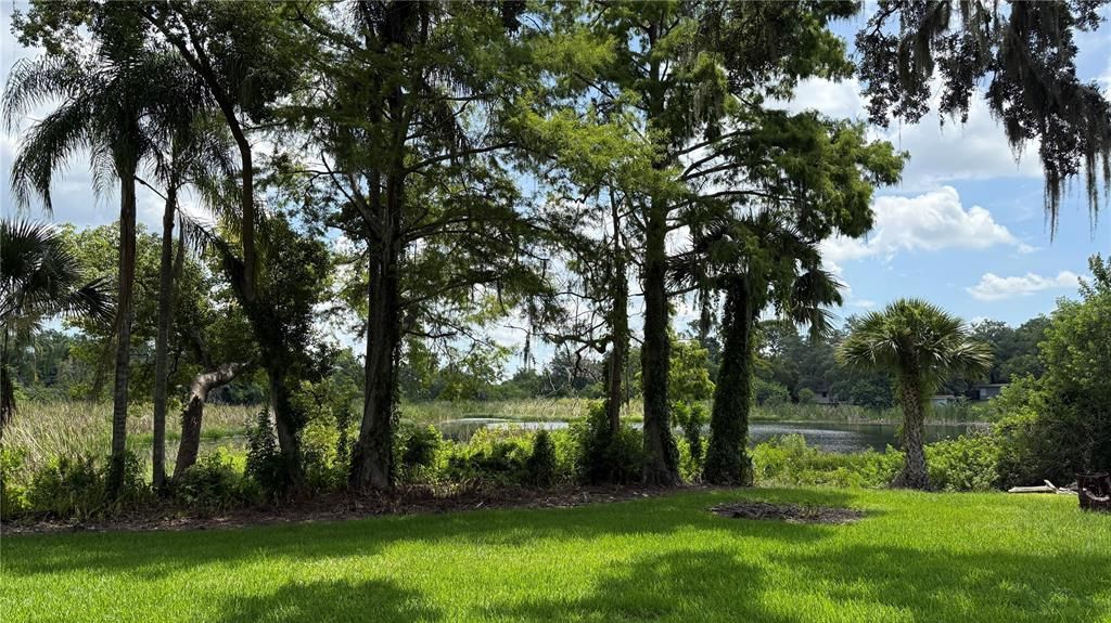 Active With Contract: $1,600 (3 beds, 2 baths, 1906 Square Feet)