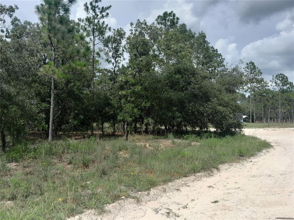 待售: $100,000 (1.25 acres)