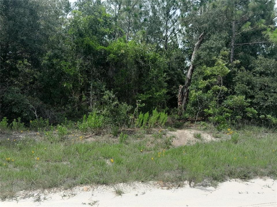 待售: $100,000 (1.25 acres)