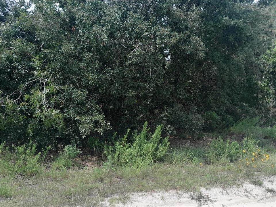 待售: $100,000 (1.25 acres)