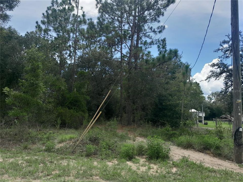 待售: $100,000 (1.25 acres)