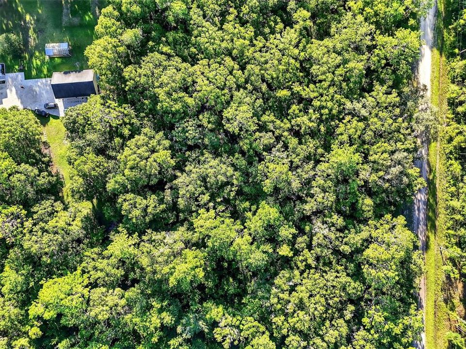 For Sale: $62,000 (2.07 acres)