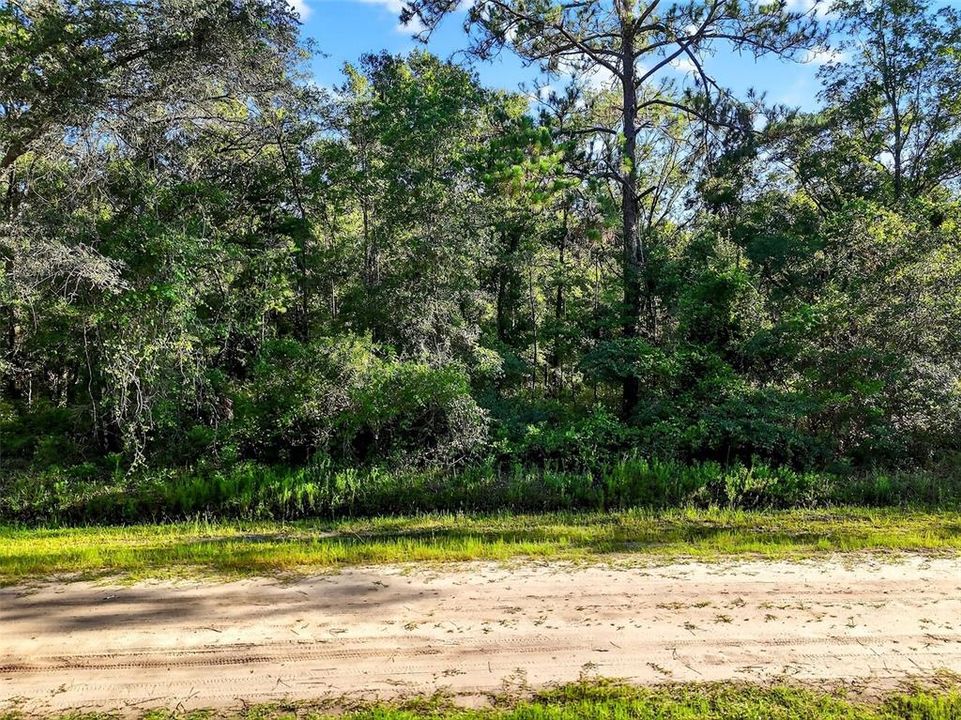 For Sale: $62,000 (2.07 acres)