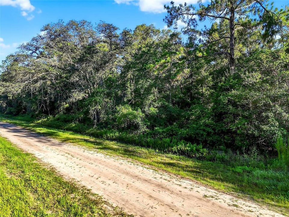 For Sale: $62,000 (2.07 acres)