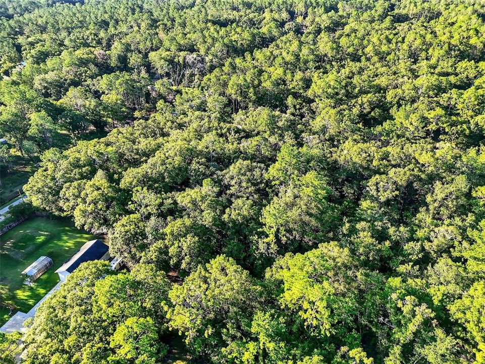 For Sale: $62,000 (2.07 acres)