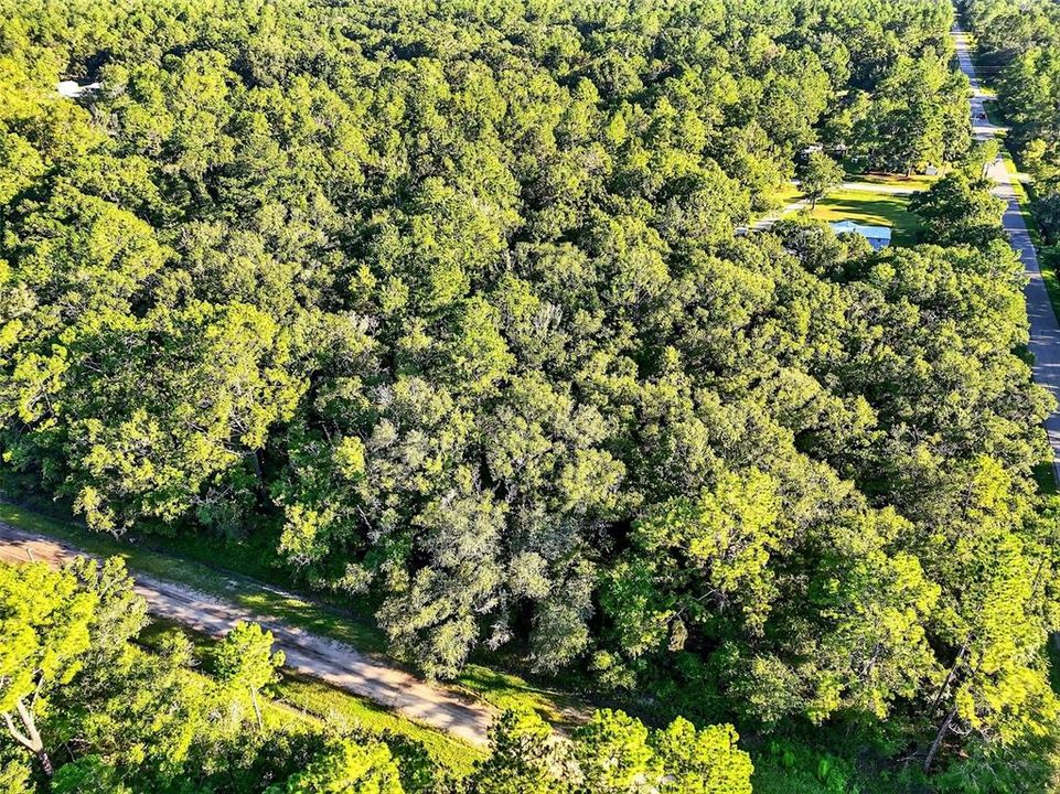 For Sale: $62,000 (2.07 acres)