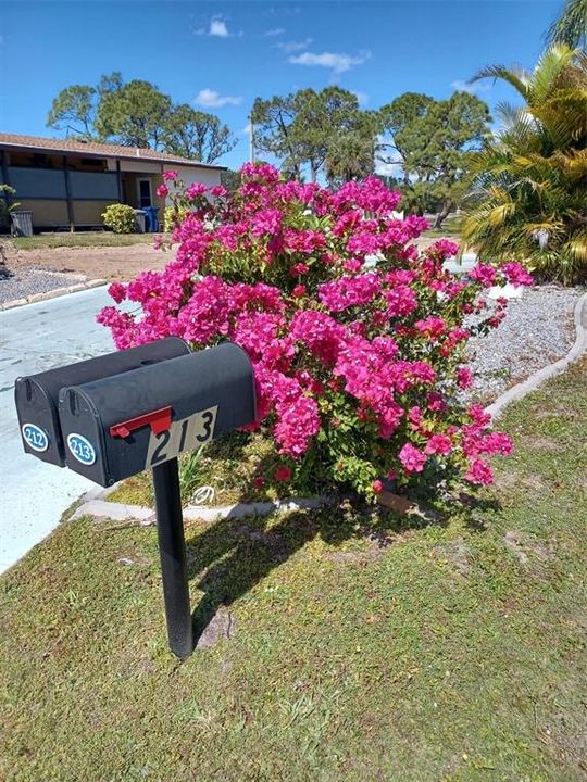 待售: $5,999 (0.12 acres)