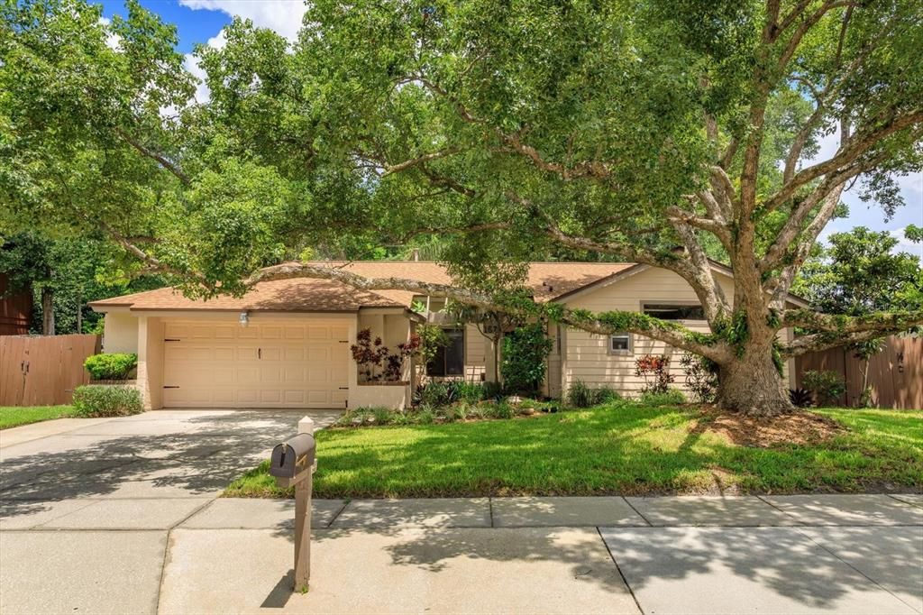 Под контрактом: $387,000 (3 спален, 3 ванн, 1593 Квадратных фут)