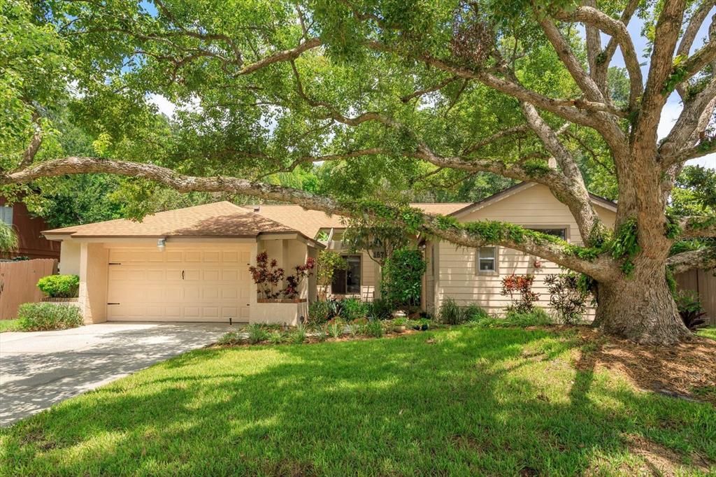 Под контрактом: $387,000 (3 спален, 3 ванн, 1593 Квадратных фут)