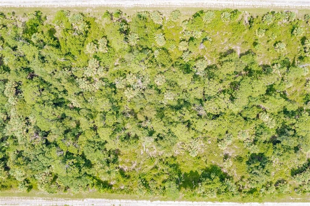 En Venta: $10,000 (0.22 acres)