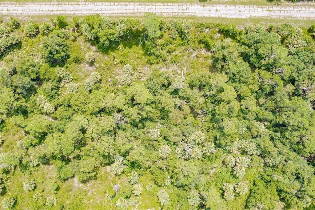 En Venta: $10,000 (0.22 acres)