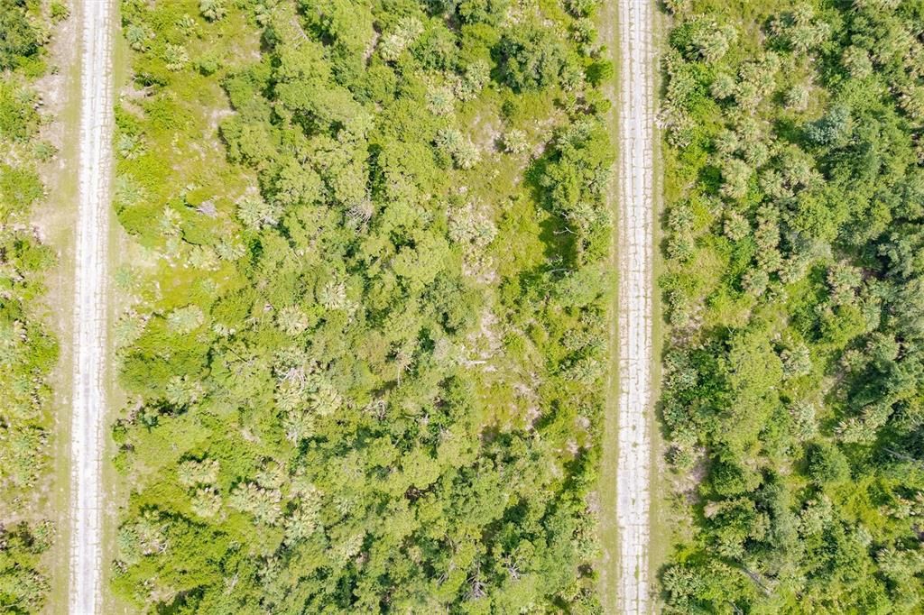 En Venta: $10,000 (0.22 acres)