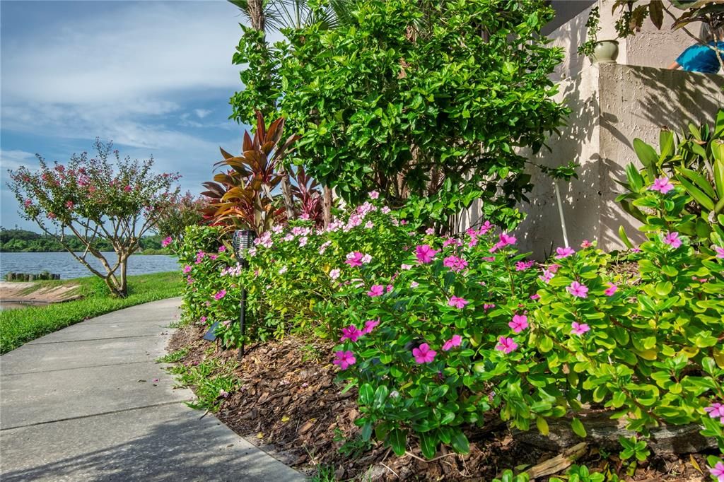 For Sale: $245,000 (1 beds, 1 baths, 700 Square Feet)