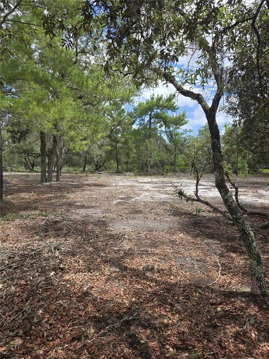 For Sale: $33,000 (1.25 acres)