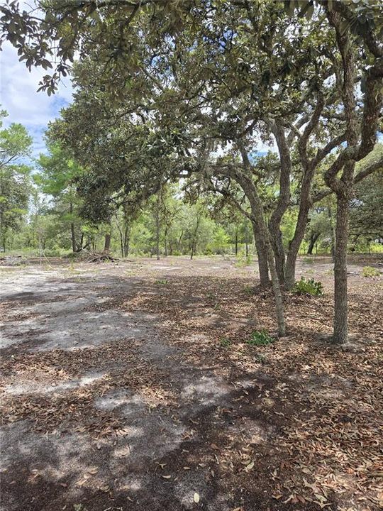For Sale: $33,000 (1.25 acres)