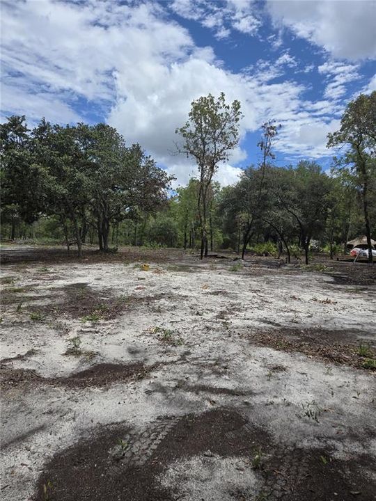 For Sale: $33,000 (1.25 acres)