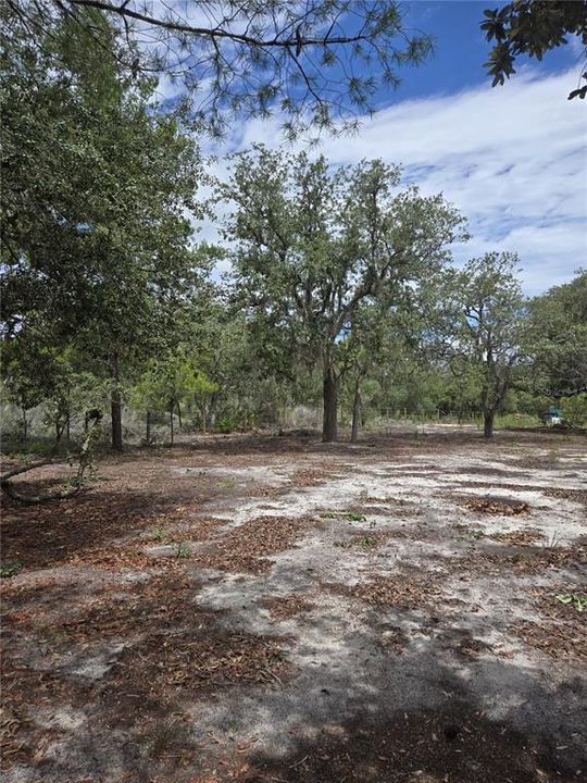 For Sale: $33,000 (1.25 acres)
