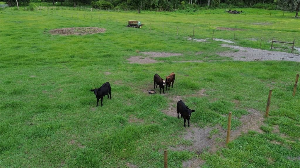 待售: $699,000 (3 贝兹, 2 浴室, 1740 平方英尺)