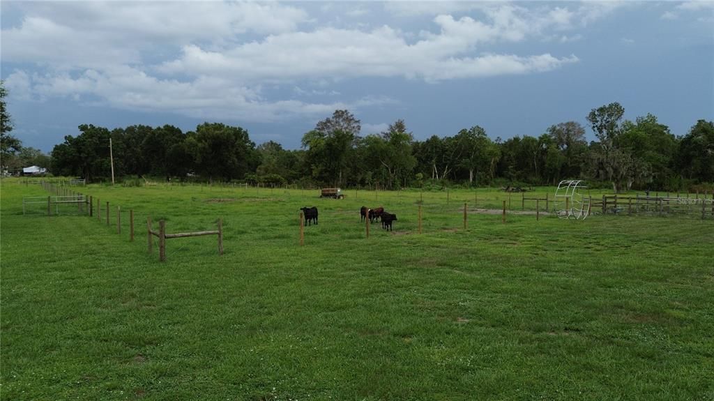 待售: $699,000 (3 贝兹, 2 浴室, 1740 平方英尺)