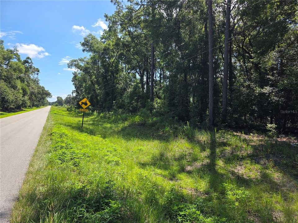 Recently Sold: $95,000 (4.60 acres)