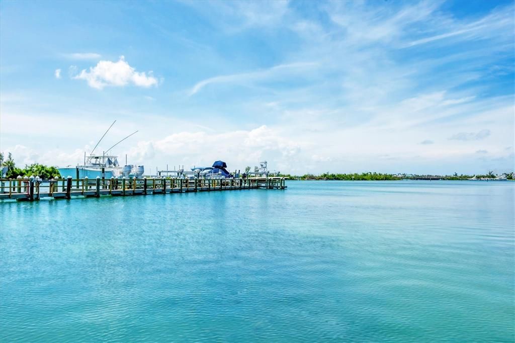 For Sale: $249,000 (0 beds, 0 baths, 0 Square Feet)