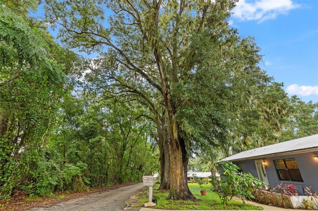 На продажу: $254,000 (3 спален, 2 ванн, 1928 Квадратных фут)