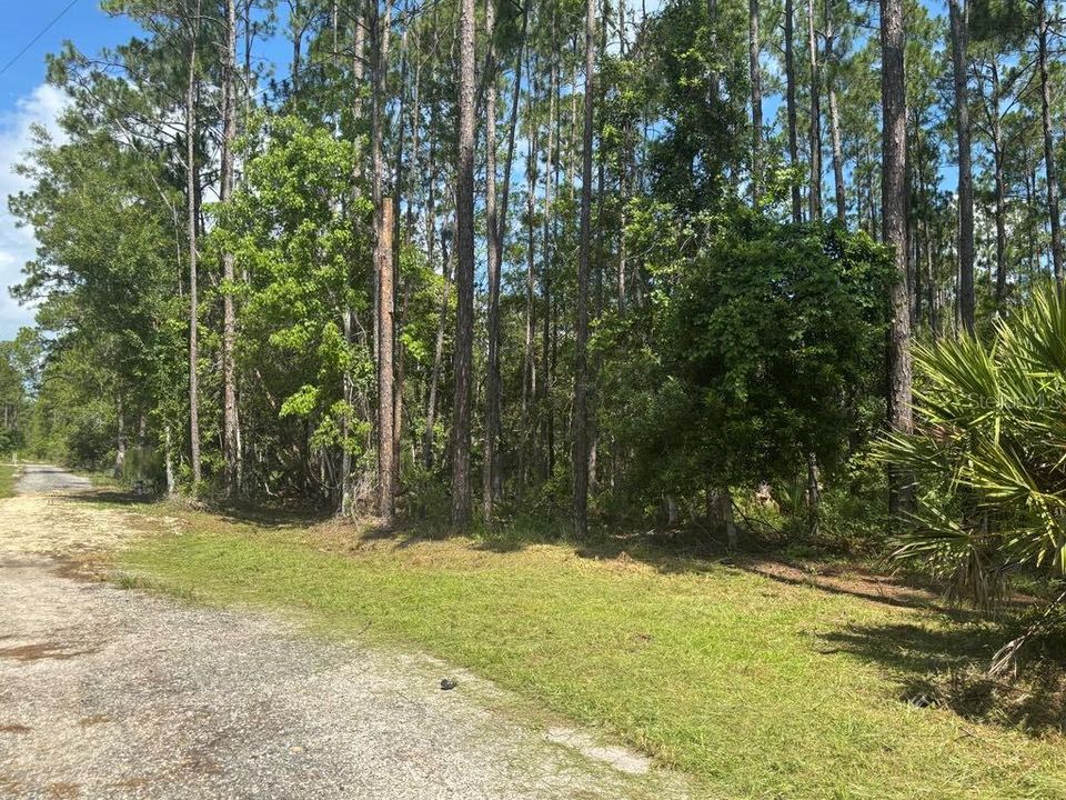 最近售出: $30,000 (1.85 acres)