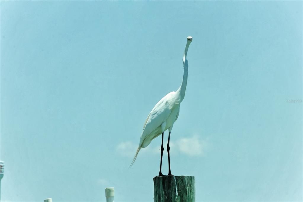 For Sale: $207,500 (0 beds, 0 baths, 330 Square Feet)