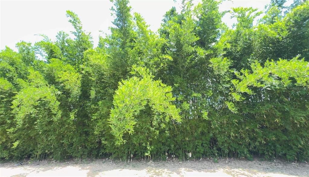 На продажу: $1,684,900 (4 спален, 2 ванн, 2774 Квадратных фут)