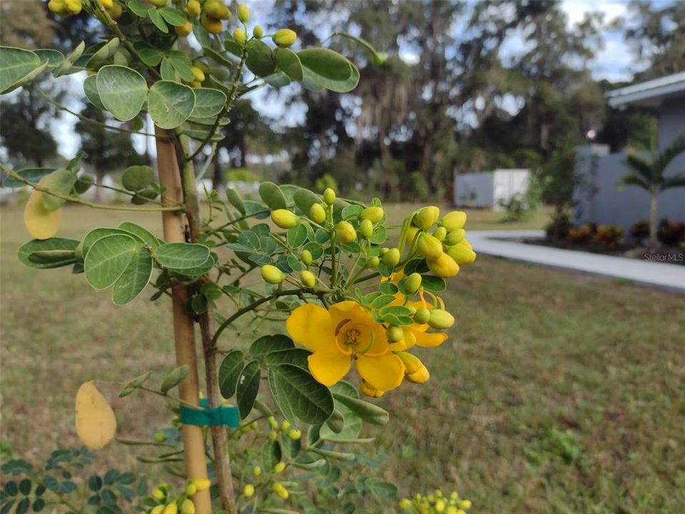 На продажу: $1,684,900 (4 спален, 2 ванн, 2774 Квадратных фут)