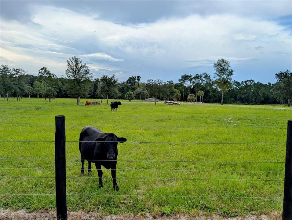 For Sale: $450,000 (15.00 acres)