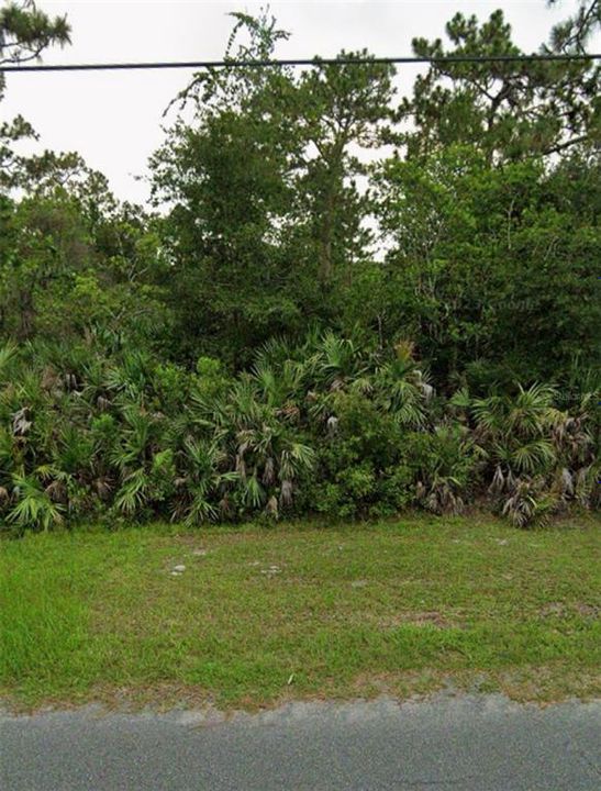 For Sale: $100,000 (1.03 acres)