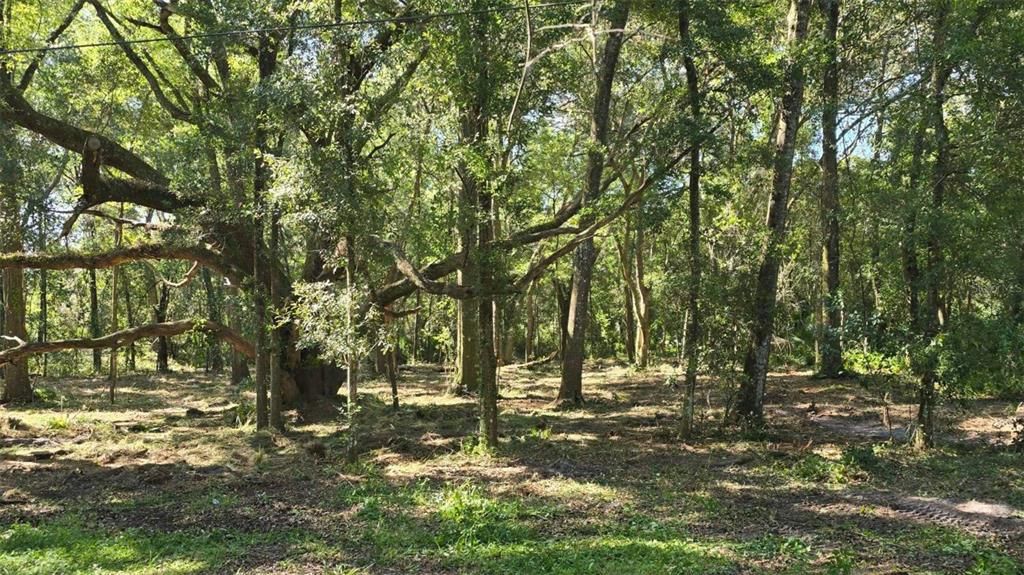 En Venta: $54,997 (1.25 acres)