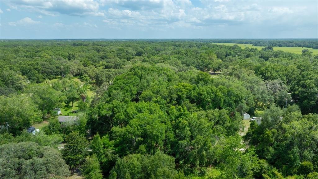 En Venta: $54,997 (1.25 acres)