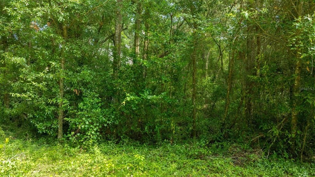 En Venta: $54,997 (1.25 acres)