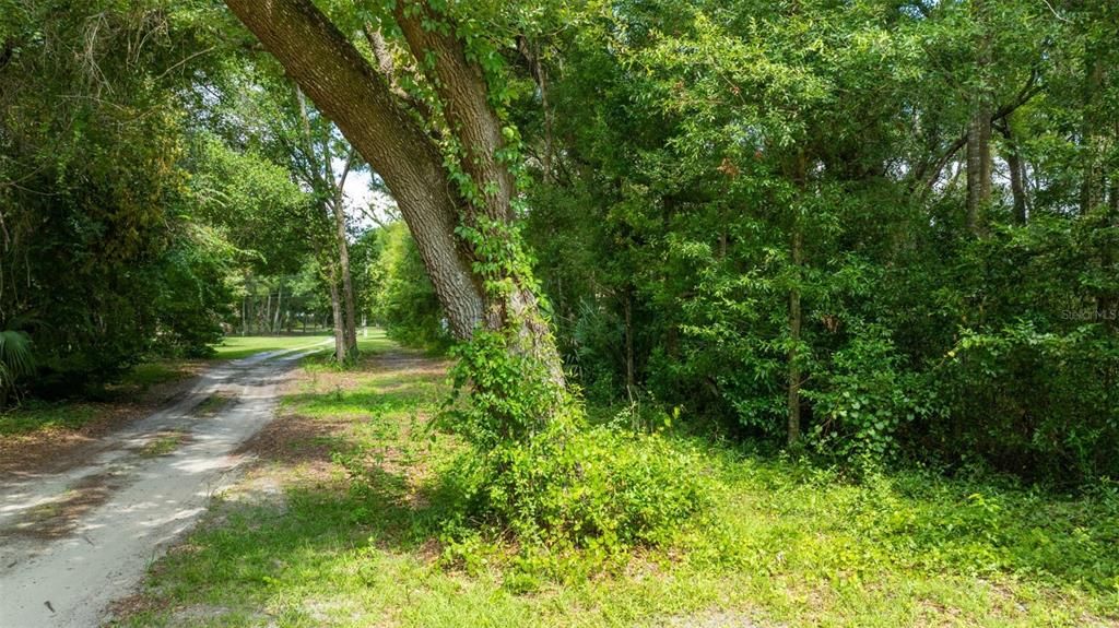 En Venta: $54,997 (1.25 acres)