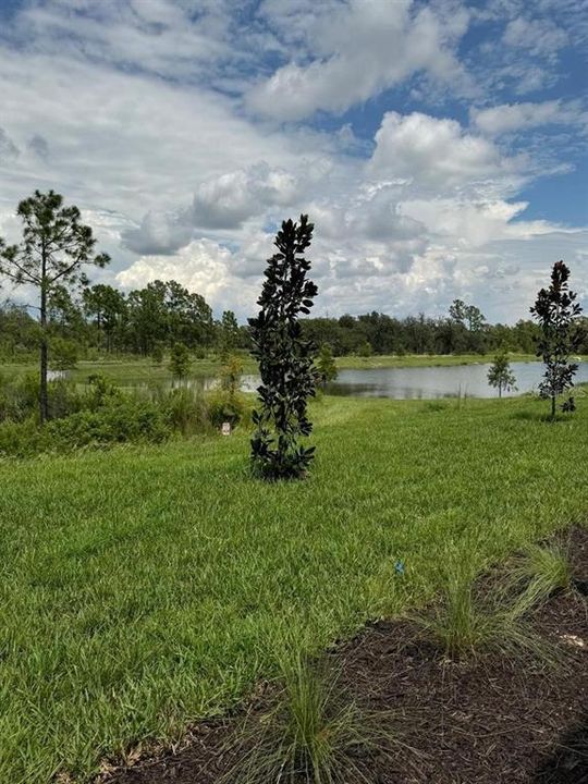 合同活跃: $2,250 (3 贝兹, 2 浴室, 1864 平方英尺)