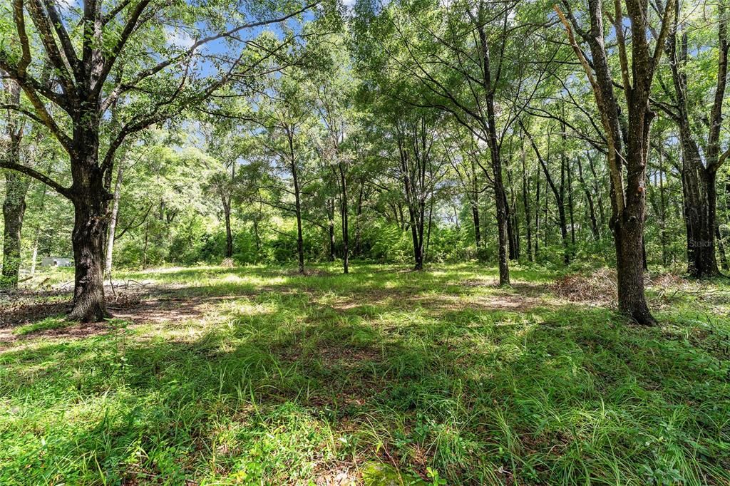 For Sale: $400,000 (3 beds, 2 baths, 924 Square Feet)