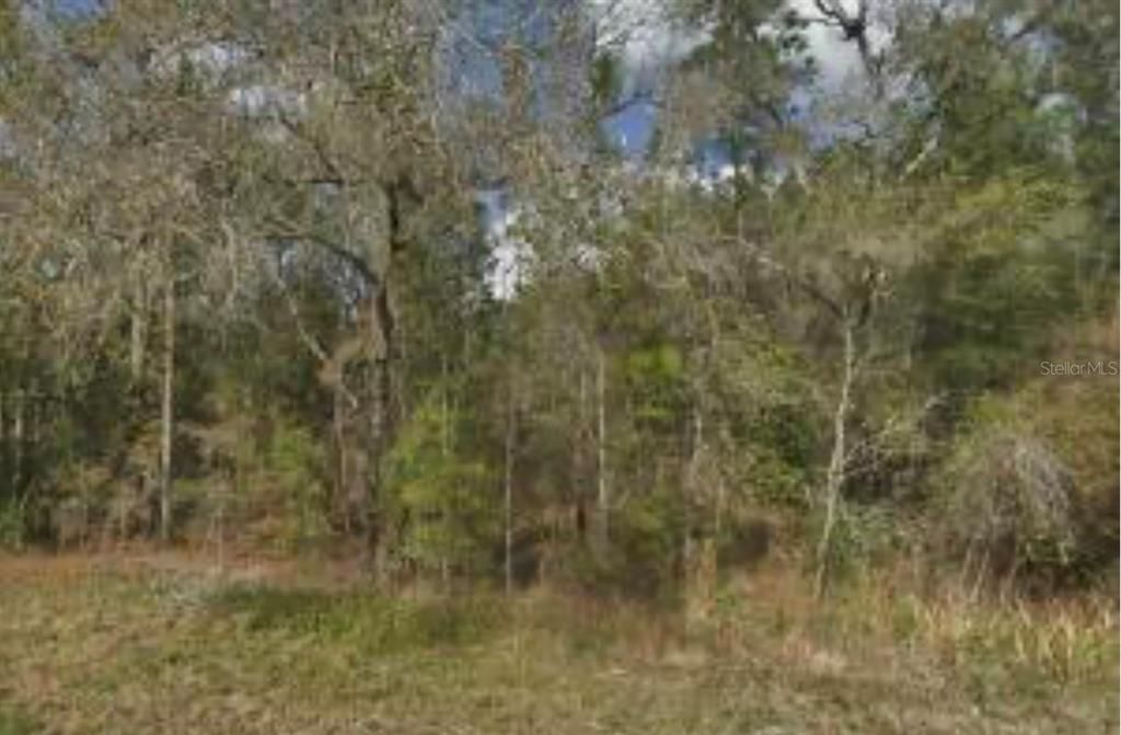 На продажу: $179,900 (1.11 acres)