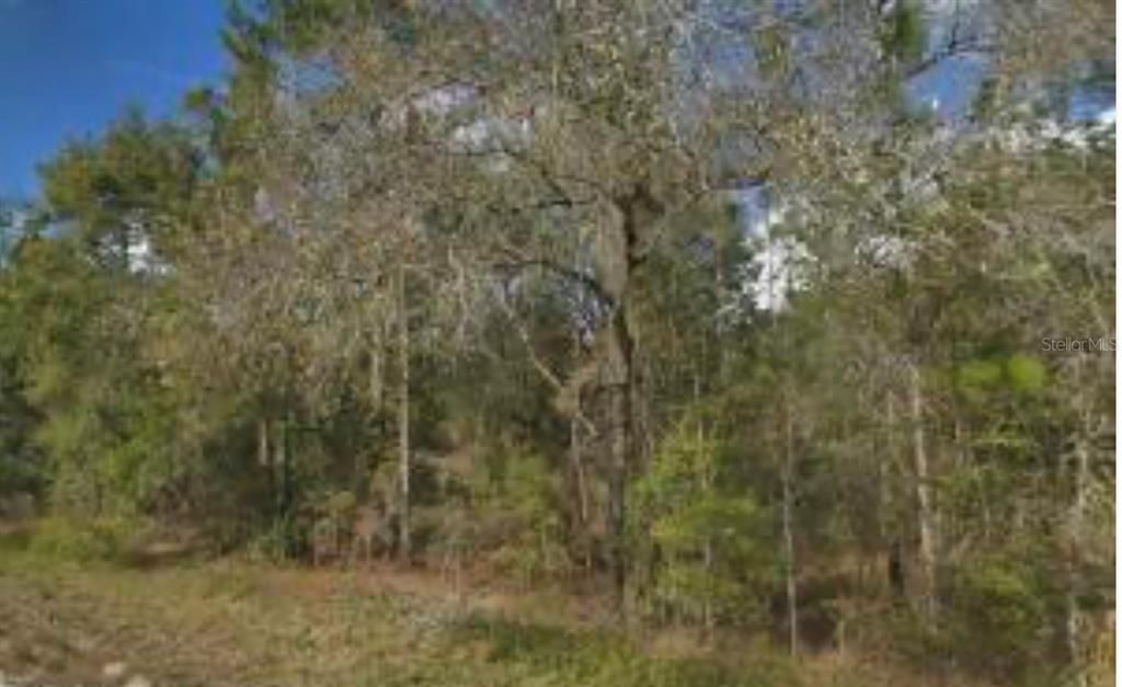 На продажу: $179,900 (1.11 acres)